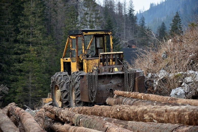 В ЕС запретят ввозить способствующую вырубке лесов продукцию